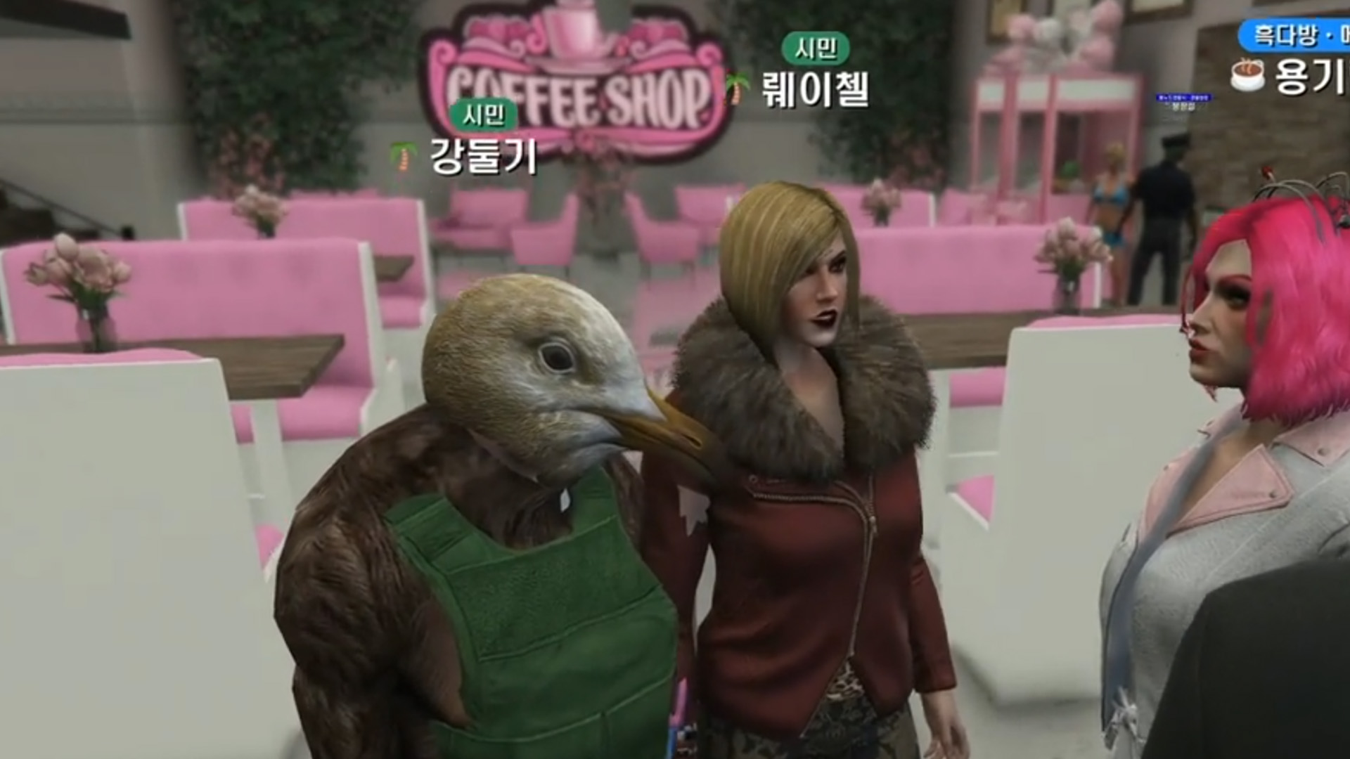 강둘기와 뤠이첼의 하루
