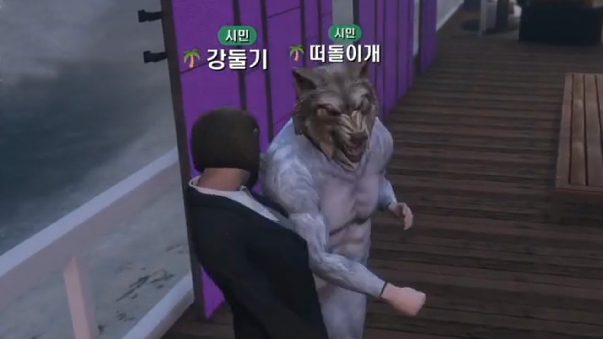 떠돌이개 북실이는 지능이 높다