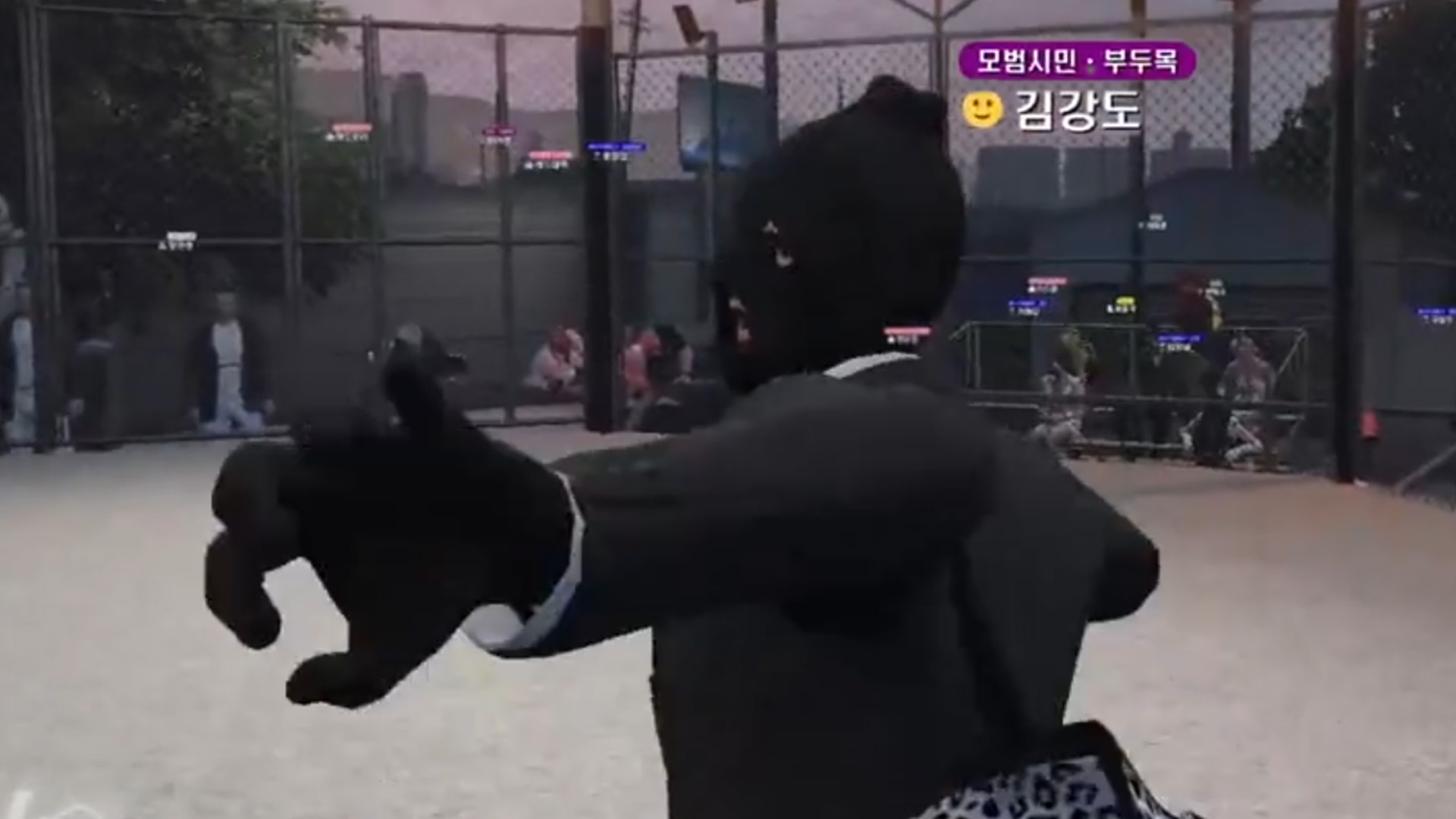 UFC 경기 모아보기